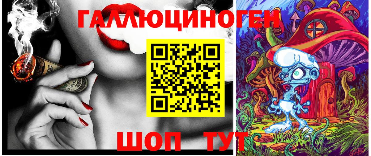 Псилоцибиновые грибы Psilocybe Киров